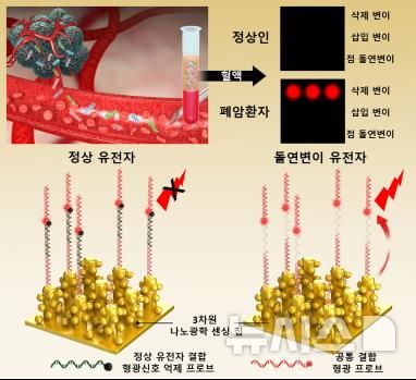 [창원=뉴시스]한국재료연구원 연구팀이 개발한 '세계 최고 수준의 초고민감도 혈액 내 암 돌연변이 유전자 검출 기술' 개념도.(자료=한국재료연구원 제공) 2024.12.30. photo@newsis.com