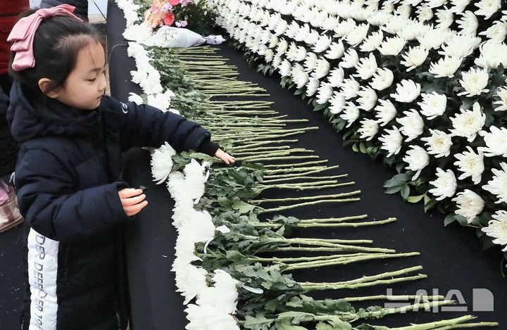 [인천=뉴시스] 김동영 기자 = 2025년 을사년 첫날인 1일 오후 인천 남동구 인천시청 앞 인천애뜰 잔디광장에 마련된 합동분향소에서 부모와 함께 온 어린이가 제주항공 여객기 사고 희생자들을 애도하고 헌화를 하고 있다. 2025.01.01. dy0121@newsis.com 