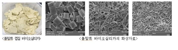 [세종=뉴시스]돌말류 껍질.. (사진=환경부). *재판매 및 DB 금지