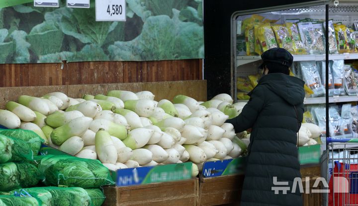 [서울=뉴시스] 고범준 기자 = 서울의 한 대형마트에서 시민들이 무를 살펴보고 있다. 2025.01.01. bjko@newsis.com