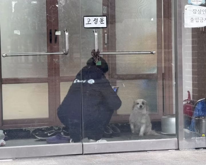 [서울=뉴시스] 1일 동물권 단체 '케어'는 공식 인스타그램에 무안공항에서 일어난 제주항공 참사로 일가족 9명이 사망하면서 홀로 남겨진 반려견 '푸딩이'를 구조했다고 전했다. (사진=인스타그램 갈무리) 2025.1.2. photo@newsis.com *재판매 및 DB 금지
