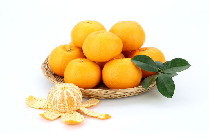 [세종=뉴시스] 국산 만감류 윈터프린스. (사진=농촌진흥청 제공) *재판매 및 DB 금지