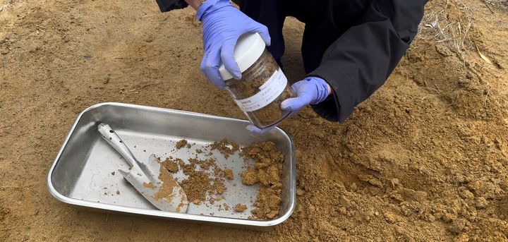 [안동=뉴시스] 토양오염 조사를 위한 시료 채취(사진=경북도 제공) 2025.01.02. photo@newsis. *재판매 및 DB 금지