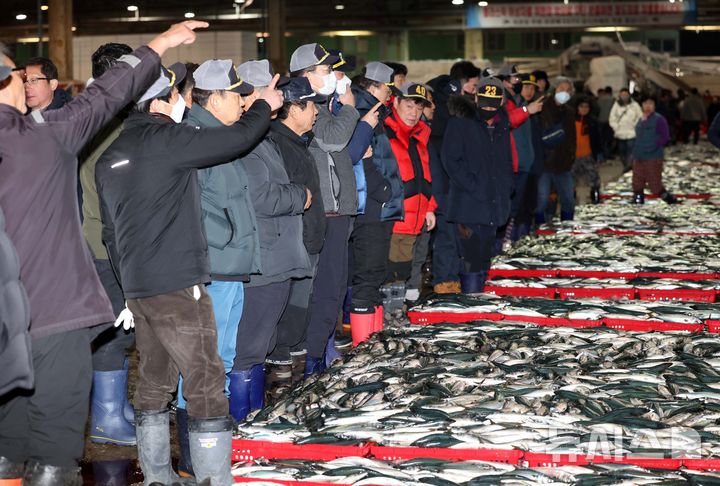 [부산=뉴시스] 하경민 기자 = 2일 오전 부산 서구 부산공동어시장에서 중도매인들이 힘찬 손짓으로 새해 첫 수산물 경매를 하고 있다. 2025.01.02. yulnetphoto@newsis.com