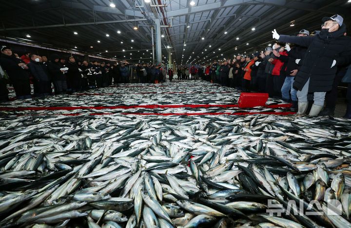 [부산=뉴시스] 하경민 기자 = 2일 오전 부산 서구 부산공동어시장에서 중도매인들이 힘찬 손짓으로 새해 첫 수산물 경매를 하고 있다. 2025.01.02. yulnetphoto@newsis.com