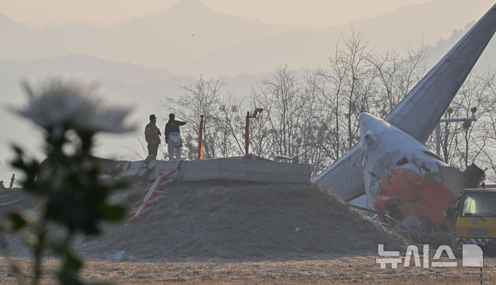 [무안=뉴시스] 이영주 기자 = 제주항공 여객기 참사 닷새 째인 2일 오전 전남 무안군 무안국제공항 활주로 사고 현장 주변에서 국과수 감식반과 소방 대원이 여객기가 충돌한 로컬라이저 위에 올라 파손된 여객기 동체를 바라보고 있다. 사고 현장 주변으로는 조문객이 두고 간 국화가 놓여있다. 2025.01.02. leeyj2578@newsis.com