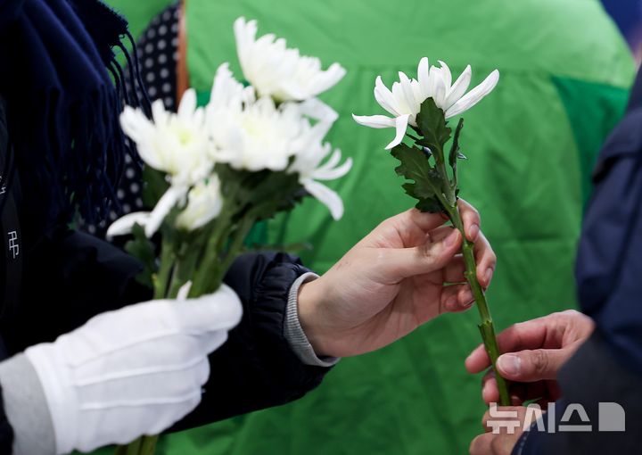 [무안=뉴시스] 김선웅 기자 = 2일 전남 무안군 무안국제공항에 마련된 제주항공 여객기 참사 희생자 합동분향소에서 한 자원봉사자가 조문객에게 국화를 나눠주고 있다. (공동취재) 2025.01.02. photo@newsis.com