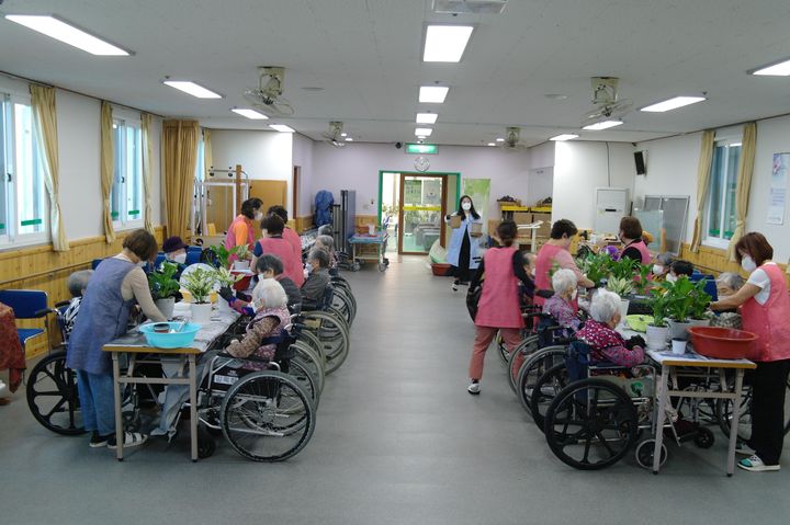 [제주=뉴시스] 제주도는 노인분야 통합복지기금을 활용해 요양시설 입소 노인을 위한 식물가꾸기 프로그램 활동을 지원했다. (사진=제주도 제공) 2025.01.03. photo@newsis.com *재판매 및 DB 금지