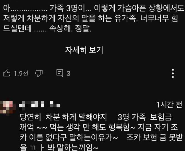 [서울=뉴시스] 무안 제주항공 참사 유가족에 대한 악성 댓글(악플)이 지속적으로 달리면서 경찰이 전담 수사팀을 꾸린 가운데 누리꾼들이 악플 게시자를 직접 경찰에 신고하고 나섰다. (사진=온라인 커뮤니티) *재판매 및 DB 금지