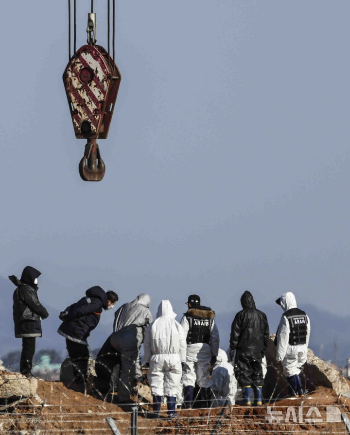 [무안=뉴시스] 김근수 기자 = 3일 전남 무안군 무안국제공항 제주항공 여객기 참사 현장에서 국가과학수사연구소와 미국합동조사단이 사고 조사를 하고 있다. 2025.01.03. ks@newsis.com