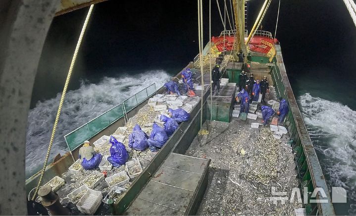 [서귀포=뉴시스] 제주 서귀포해양경찰서는 지난 3일 오후 제주 마라도 남서쪽 해상에서 허가를 받지 않고 어업활동을 한 혐의(경제수역어업주권법 위반)로 범장망 중국 복건성 어선 A호(409t·승선원 15명)를 나포했다. 사진은 해경이 A호에 강제등선해 불법 여부를 확인하는 모습. (사진=제주 서귀포해양경찰서 제공) 2025.01.04. photo@newsis.com *재판매 및 DB 금지