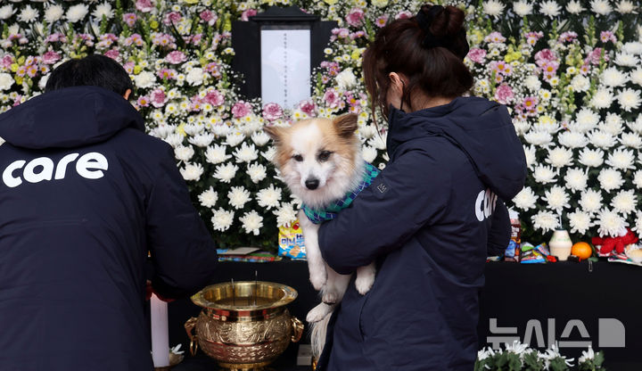 [서울=뉴시스] 홍효식 기자 = 무안국제공항 제주항공 여객기 참사로 주인을 잃은 반려견 푸딩이가 5일 서울시청 앞에 마련된 제주항공 여객기 사고 희생자 합동분향소를 방문하고 있다. 2025.01.05. yesphoto@newsis.com