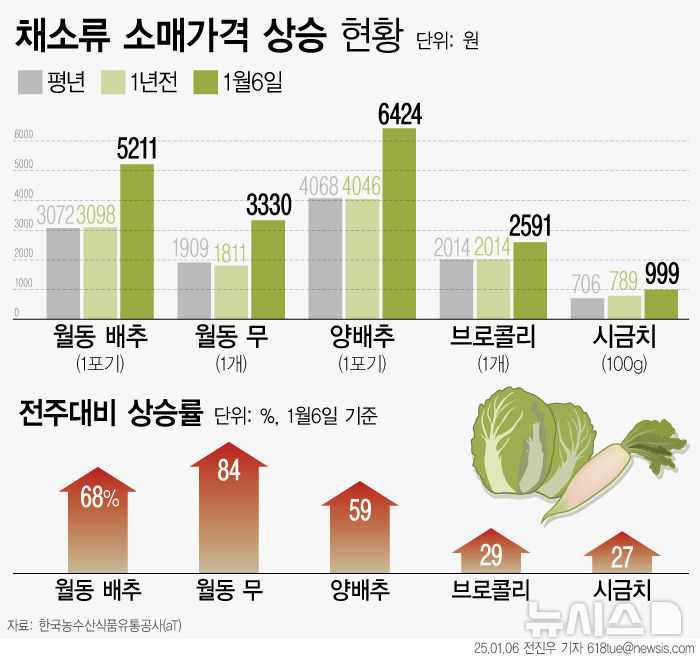 [서울=뉴시스] 6일 한국농수산식품유통공사(aT)에 따르면 지난 6일 기준 배추 상(上)품 한 포기 가격은 5211원으로 전년보다 68% 높다. 겨울 무도 상품 1개에 3330원으로 전년보다 84% 올랐다. 설 연휴를 3주 앞두고 주요 채소류 가격이 평년 대비 두 자릿수 증가세를 보이고 있다. (그래픽=전진우 기자) 618tue@newsis.com