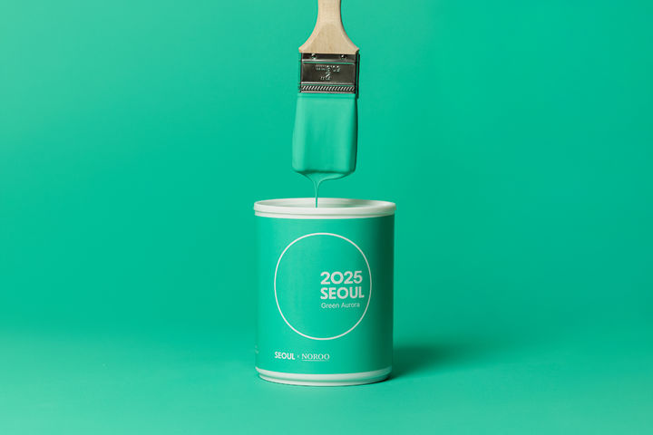 [서울=뉴시스] 그린오로라 페인트 연출 이미지. 2025.01.08. (사진=노루페인트 제공)&nbsp;&nbsp; *재판매 및 DB 금지