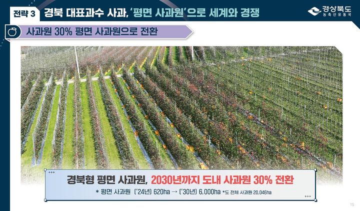 [안동=뉴시스] 경북형 평면 사과원. (사진=경북도 제공) 2025.01.08. photo@newsis. *재판매 및 DB 금지