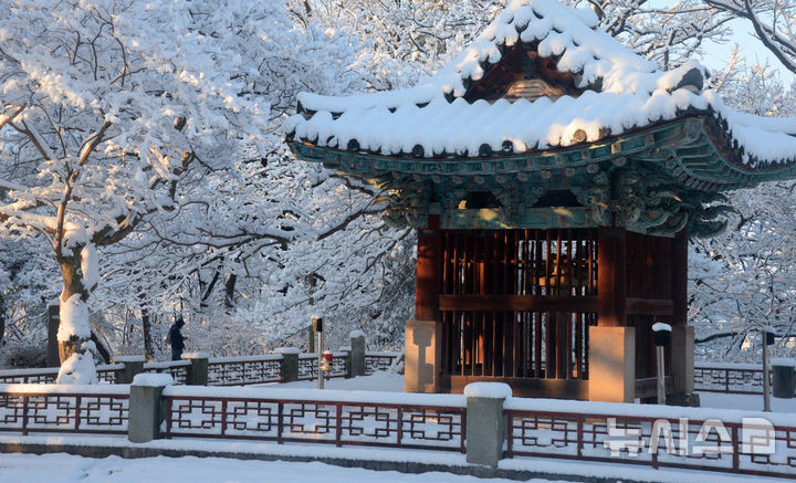 [전주=뉴시스] 김얼 기자 = 밤사이 전북지역에 많은 양의 눈이 내린 8일 전북 전주시 오목대에 눈이 쌓여 있다. 2025.01.08. pmkeul@newsis.com