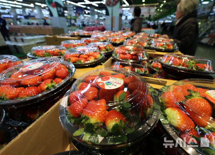 [서울=뉴시스] 이영환 기자 = 서울 서초구 하나로마트 양재점에서 딸기가 판매되고 있다. 2025.01.08. 20hwan@newsis.com
