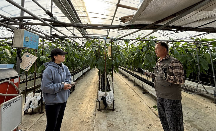 [광주=뉴시스] 광주농업기술센터 '신규농업인-선도농가 멘토링 사업'. (사진=광주농업기술센터 제공). photo@newsis.com *재판매 및 DB 금지