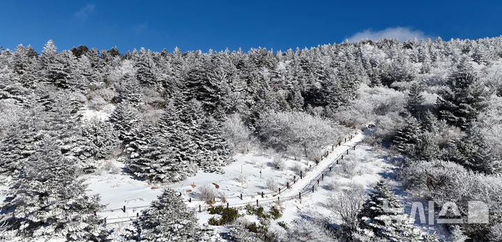 전북 김제·고창 대설경보로 격상…도, 재대본 2단계 상향 운영