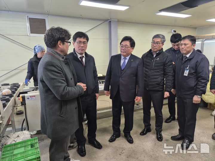 [전주=뉴시스] 전북농협은 설을 맞아 북전주농협 산지유통센터 현장을 방문해 과일 재고현황 및 수급동향을 점검했다. *재판매 및 DB 금지