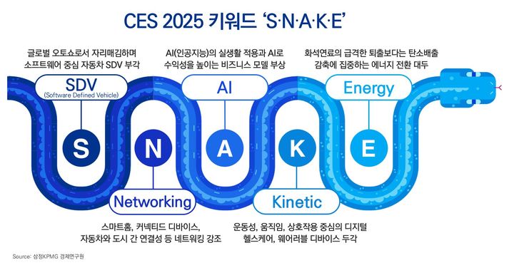 (사진=삼정KPMG 제공) *재판매 및 DB 금지