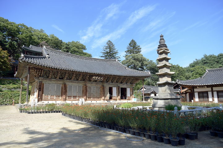 [공주=뉴시스] 공주 마곡사 오층석탑.(사진=공주시 제공) 2025.01.10. photo@newsis.com *재판매 및 DB 금지