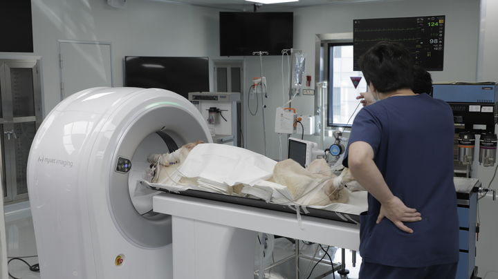 동물 진료도 AI 시대..."진단기록 작성부터 스텐트까지" - 뉴스 썸네일 이미지