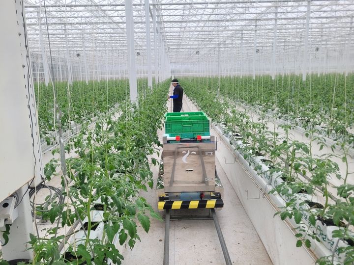 [창원=뉴시스] 강경국 기자 = 경남 창원시 스마트팜 농장. (사진=창원시청 제공). 2025.01.10. photo@newsis.com *재판매 및 DB 금지