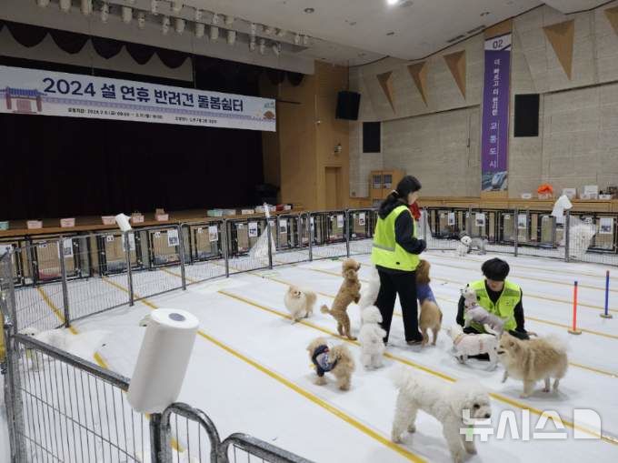 [서울=뉴시스]서울 노원구는 설 연휴인 오는 28~30일 구청 2층 대강당에서 반려견을 안전하게 돌보는 '반려견 돌봄쉼터'를 운영한다고 10일 밝혔다. (사진=노원구 제공). 2025.01.10. photo@newsis.com 