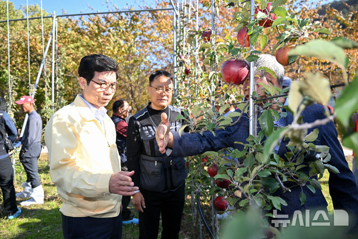 [영덕=뉴시스] 김광열 영덕군수가 과수농가를 방문해 현장 소통을 하고 있다.(사진=영덕군 제공) 2025.01.12. photo@newsis.com
