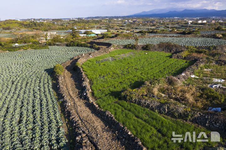 [제주=뉴시스] 임재영 기자 = 제주 서부지역 농경지. (사진=뉴시스DB) photo@newsis.com