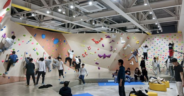 [울산=뉴시스] 울산 꽃바위체육센터 클라이밍장. (사진=울산 동구 제공) 2025.01.13. photo@newsis.com *재판매 및 DB 금지