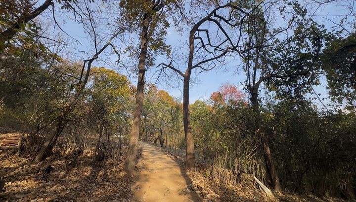 [대구=뉴시스] 대구시 수성구는 범어공원 순환산책로 조성 사업을 완료하고 주민들에게 개방했다. (사진 = 대구시 수성구 제공) 2025.01.13. photo@newsis.com *재판매 및 DB 금지