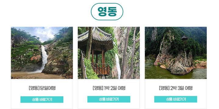 지역사랑 영동철도여행 상품(사진=영동군 제공) *재판매 및 DB 금지