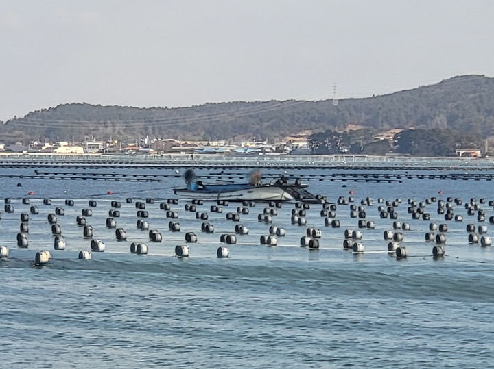 [해남=뉴시스] 해상에 불법 설치된 김발. (사진=완도해경 제공) 2025.01.14. photo@newsis.com *재판매 및 DB 금지