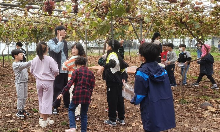 [정읍=뉴시스] 농업과 관광을 접목한 6차 산업 활성화를 위해 정읍시 농업기술센터가 추진한 농촌지원사업을 통해 어린이들이 포도밭을 견학하고 있다. *재판매 및 DB 금지