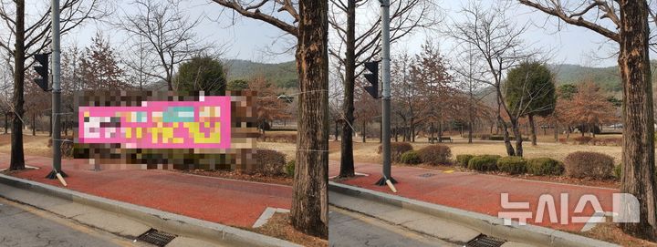 [안산=뉴시스] 불법 유동광고물 제거 전(왼쪽)후 모습. (사진=안산시 제공) 2025.01.15. photo@newsis.com