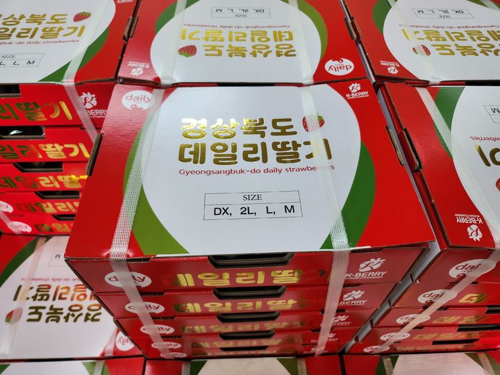 [고령=뉴시스] 고령 딸기 (사진=고령군 제공) 2025.01.15 photo@newsis.com *재판매 및 DB 금지