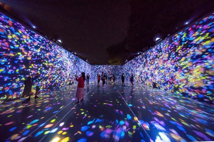 [통영=뉴시스] 신정철 기자= 통영시는 ‘대한민국 문화도시’ 최종 지정에 맞춰 내·외국인 숙박관광, 항공관광, 수학여행단 등을 유치하고 관내 숙박·음식업소·유료관광지 이용 조건 등을 충족한 여행사에 대해 1인당 최대 4만 3000원의 인센티브를 지원한다고 15일 밝혔다.사진은 통영시 남방산공원의 디피랑.(사진=통영시 제공).2025.01.15. photo@newsis.com *재판매 및 DB 금지