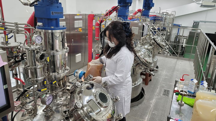  [영주=뉴시스] 영주시 친환경 미생물 배양실에서 미생물을 시험배양하고 있다. 2025.01.16. (사진=영주시 제공) photo@newsis.com *재판매 및 DB 금지