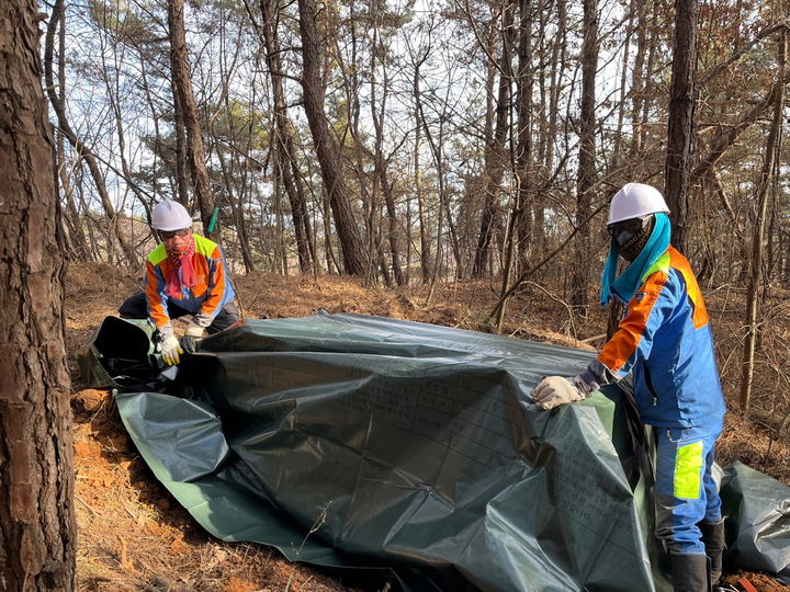 [진주=뉴시스]진주시, 소나무재선충병 직영 방제작업 돌입.(사진=진주시 제공).2025.01.16.photo@newsis.com *재판매 및 DB 금지