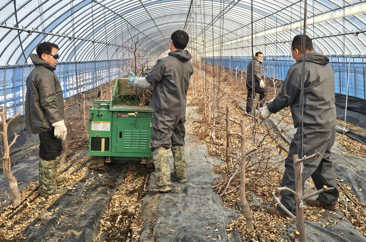 [순창=뉴시스] 순창군의 영농부산물 파쇄지원단이 한 농가 시설하우스에서 농업부산물을 처리하고 있다. *재판매 및 DB 금지