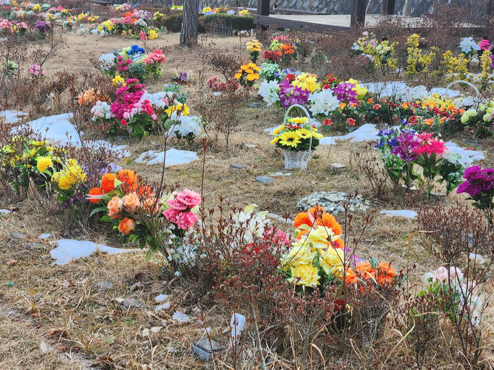 [광주=뉴시스] 광주 영락공원·망월묘지 플라스틱 조화 반입 금지. (사진=뉴시스DB). photo@newsis.com *재판매 및 DB 금지
