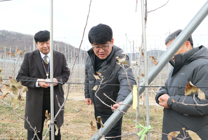 [서울=뉴시스] 이영환 기자 = 사진은 권재한 농촌진흥청장이 지난 1월 16일 대구광역시 군위군 사과연구센터에서 연구 현장을 찾아 시설을 살펴보고 있는 모습. (사진=농진청 제공) 2025.01.16. photo@newsis.com *재판매 및 DB 금지