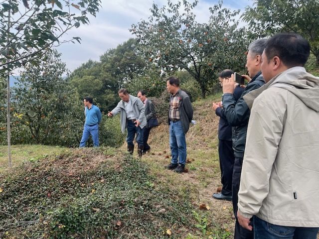 [광양=뉴시스] 전남 광양시 진상면 매티재에서 여순사건 유해 발굴을 위한 현장조사가 진행되고 있다. (사진=광양시 제공) 2024.10.30. photo@newsis.com *재판매 및 DB 금지