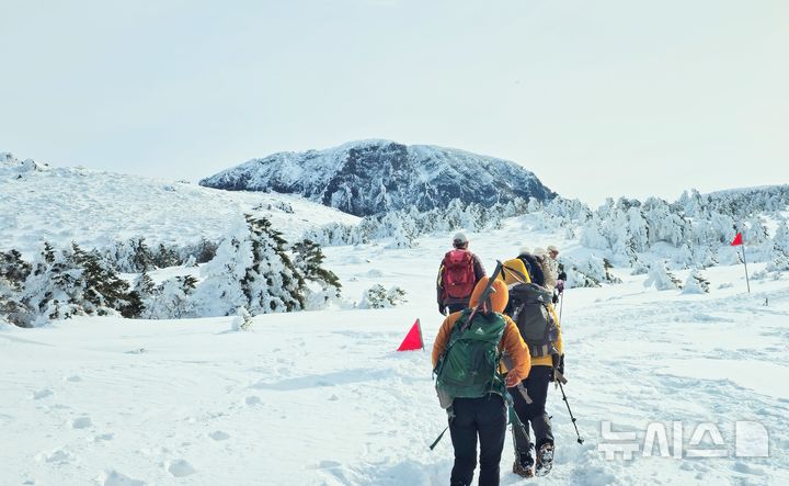 [제주=뉴시스] 임재영 기자 = 18일 오전 한라산 백록담 분화구에 상고대가 피었다. 거대한 분화구 암벽에 상고대가 생기면서 다른 산에서 보기 힘든 독특한 경관을 연출했다. 풍화와 침식작용으로 생긴 화구벽 굴곡 지형에 서리나 물방울이 얼어붙으면서 생긴 백록담 상고대 장관을 향해 등산객들이 걸어가고 있다. 2025.01.19. ijy788@newsis.com