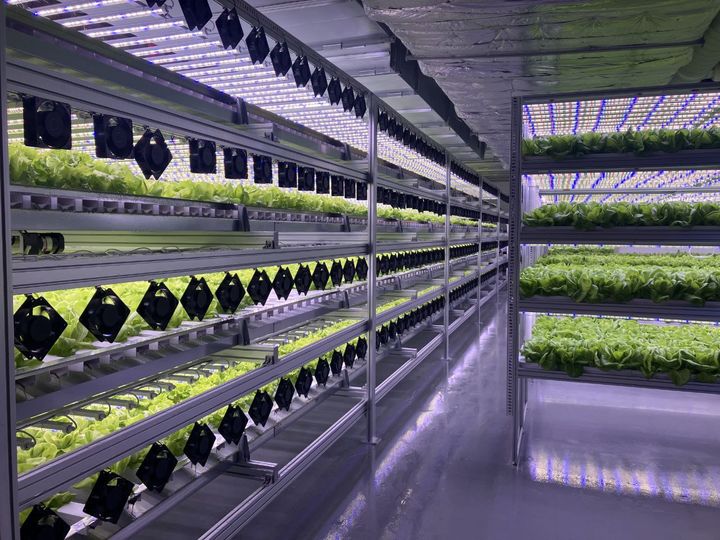 청라 도심형 수직농장 전경. (사진=이수화학) *재판매 및 DB 금지