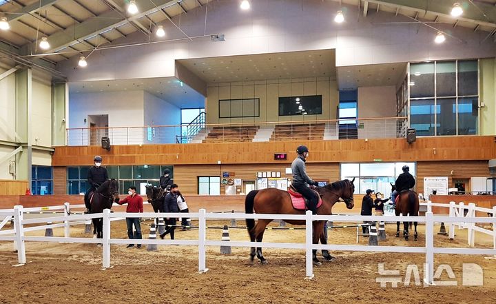 영천 운주산 승마조련센터