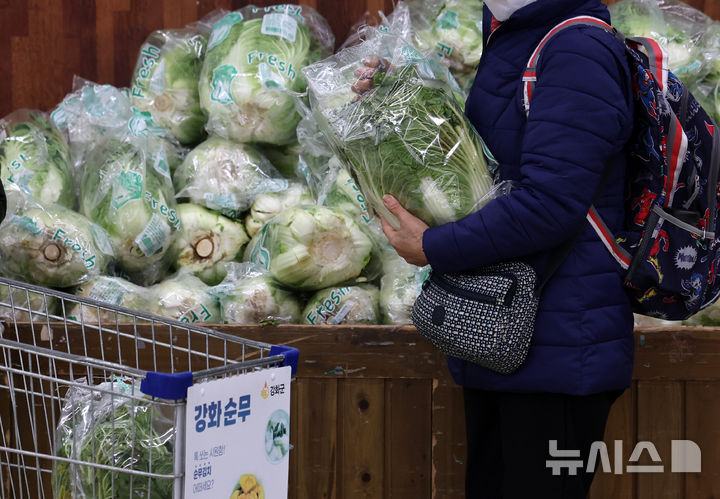 [서울=뉴시스] 이영환 기자 = 20일 오후 서울 서초구 농협하나로마트 양재점에서 한 시민이 배추를 구매하고 있다. 2025.01.20. 20hwan@newsis.com