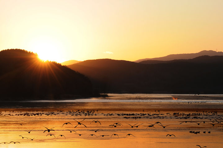 [창녕=뉴시스] 다양한 생물종을 품은 우포늪. (사진= 창녕군 제공) 2025.01.21. photo@newsis.com *재판매 및 DB 금지